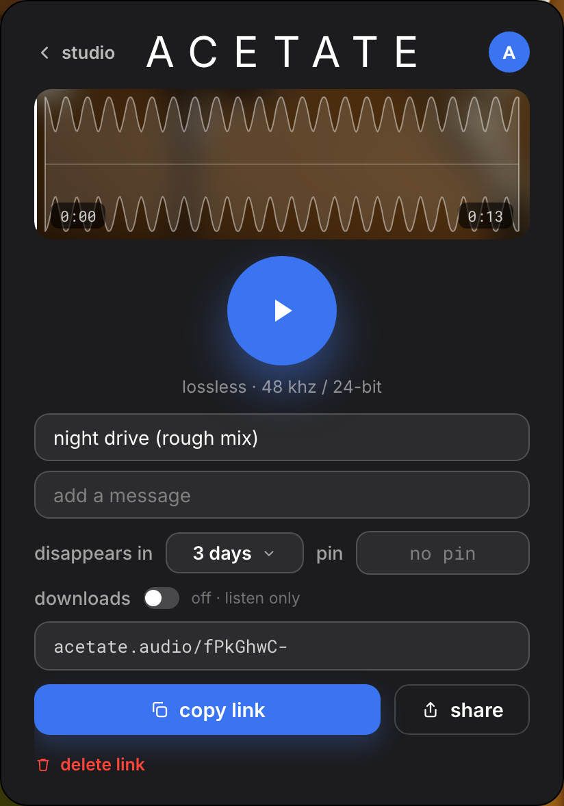 the link edit panel: name, expiry, pin, downloads toggle, copy link, delete